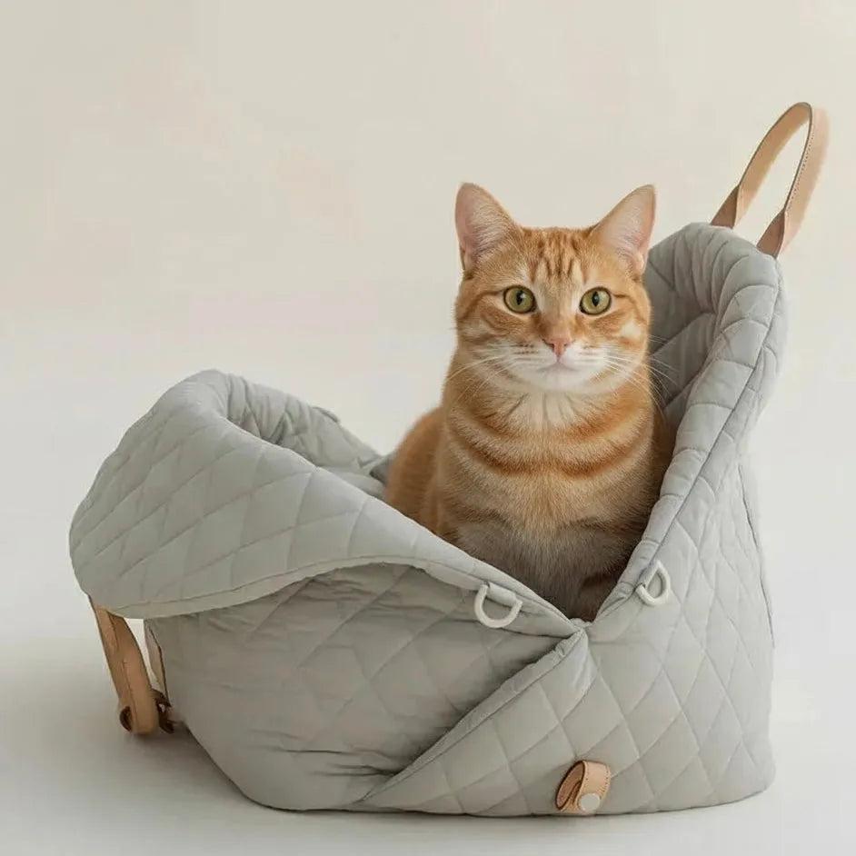 Chat dans panier confortable pour transport chat gris