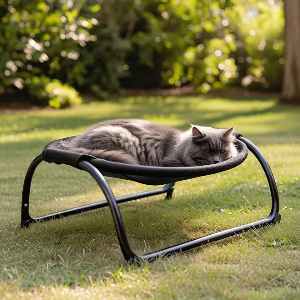 Chat dans panier hamac marron a l’extérieur