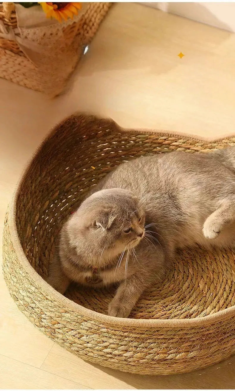 Chat dans panier en osier forme de chat vu de haut
