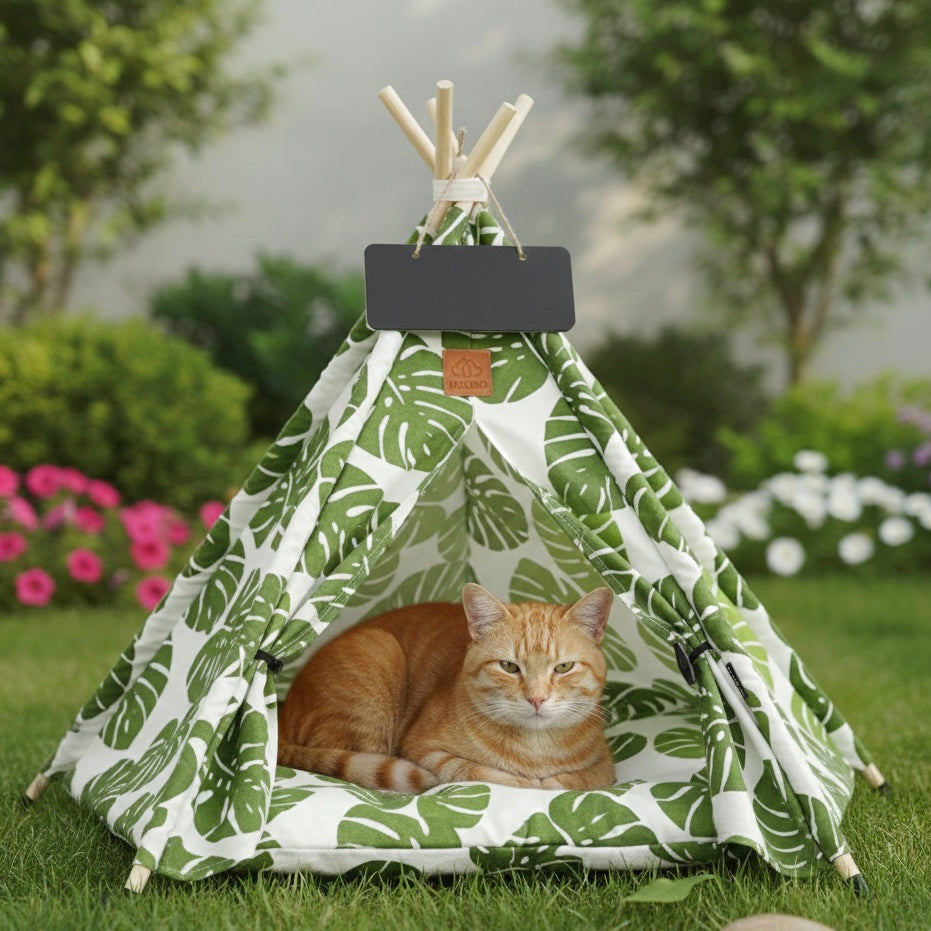 Chat dans grand tipi motif tortues en extérieur