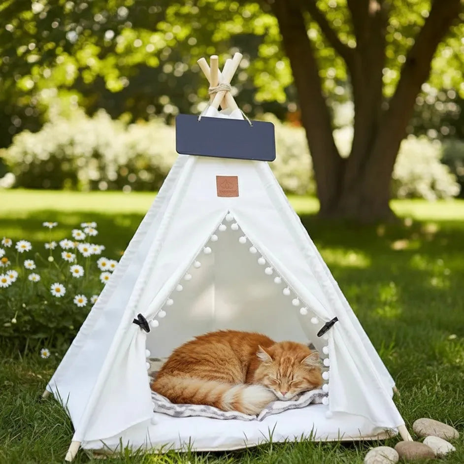 Chat dans grand tipi blanc en extérieur