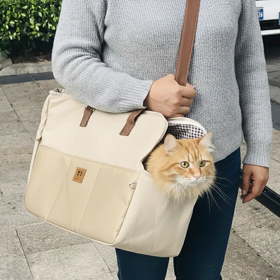 Chat dans panier extérieur de couleur beige