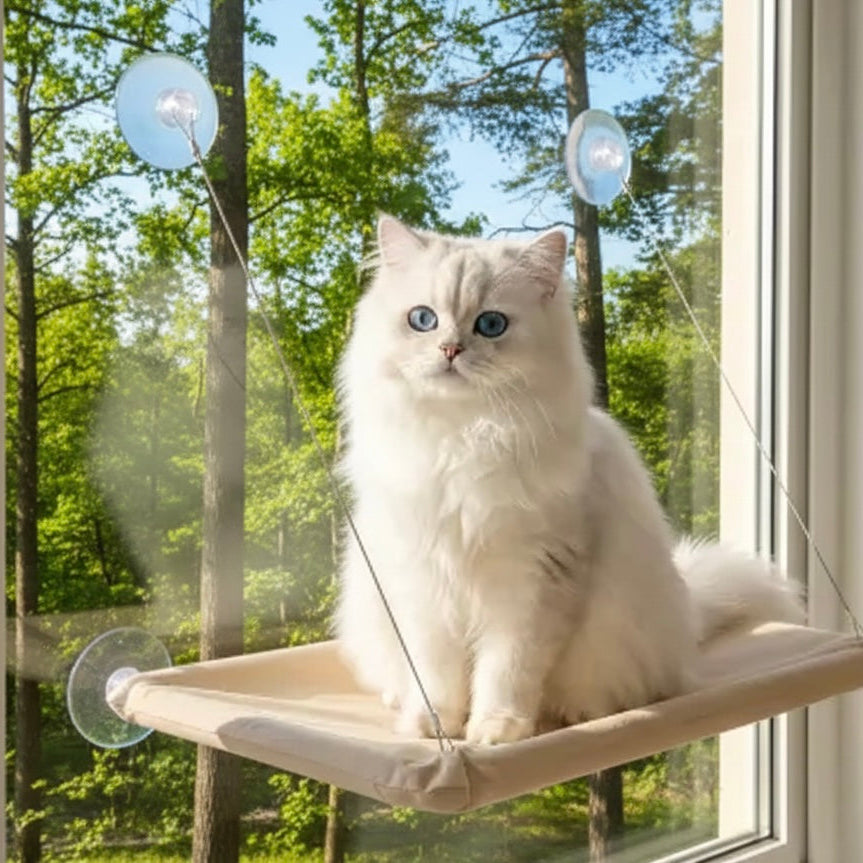 Chat sur panier mural ventouses blanc cassé décor forêt