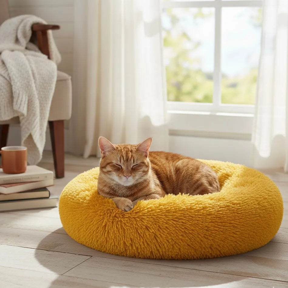 Chat qui dort sur un panier rond jaune foncé
