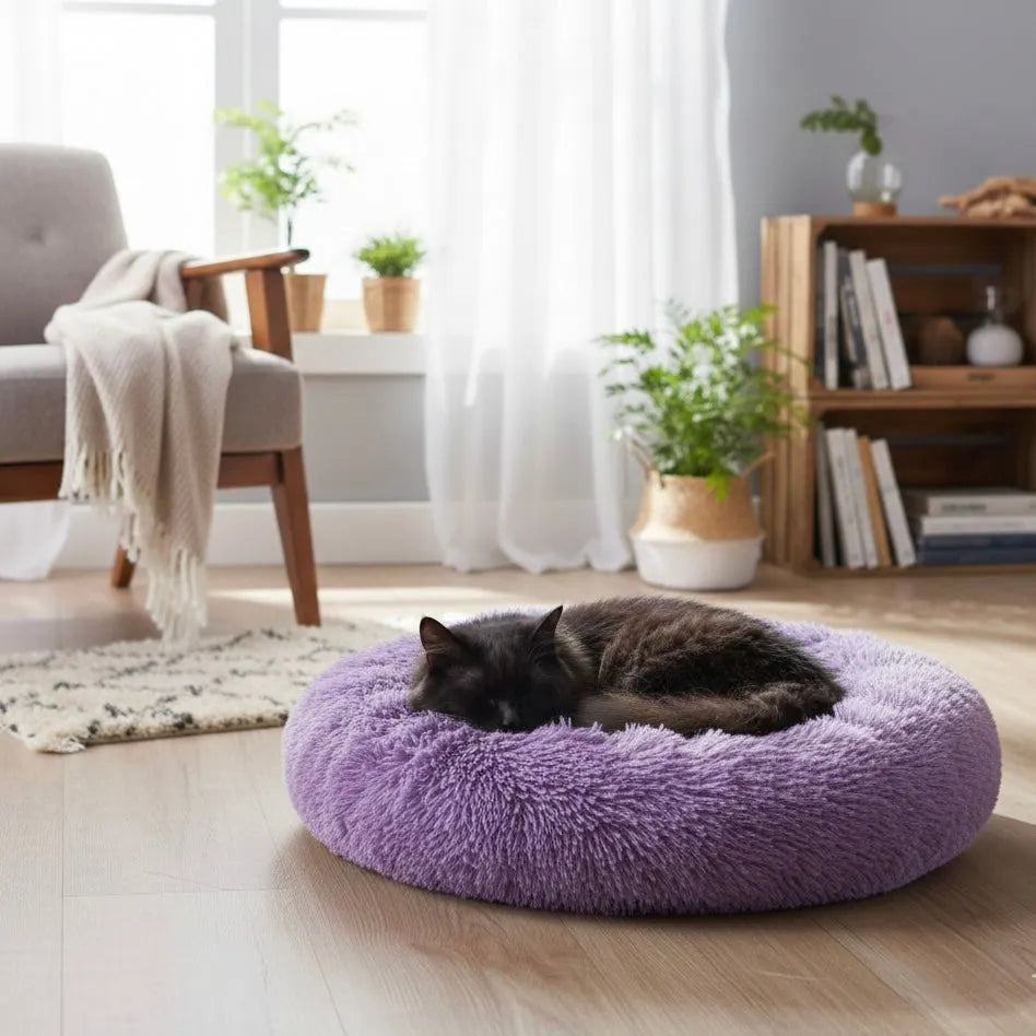 Chat qui dort sur panier rond couleur violet