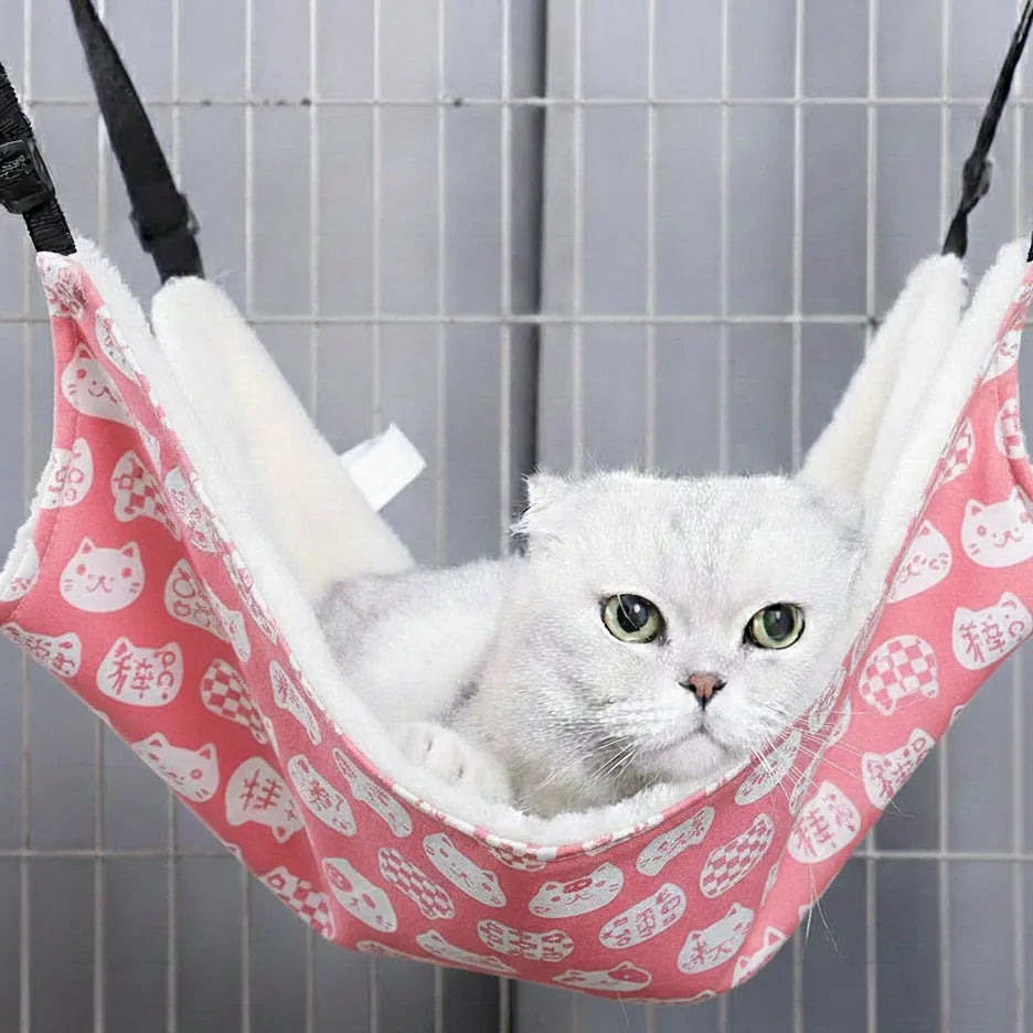 Chat sur panier hamac rose