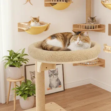 Chat sur panier mural chat rond