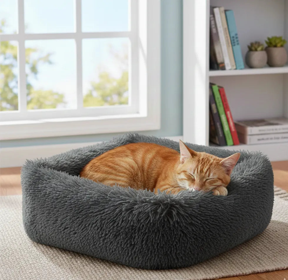 Coussin chat ovale gris sombre avec un chat dessus