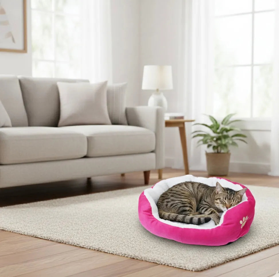 Coussin doux pour chat rose avec un chat dans un salon