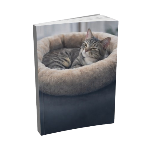 EBOOK — Comment aider son chat à adopter son panier naturellement