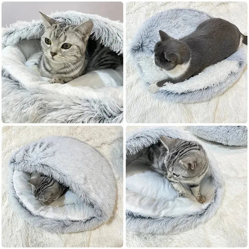 Images de chat dans un coussin chauffant naturellement de couleur bleu ciel