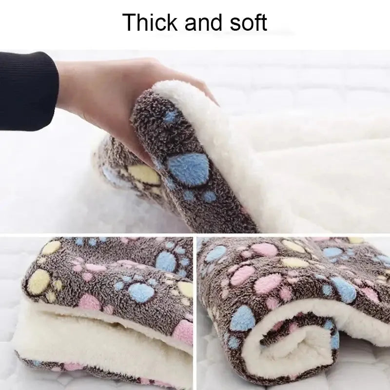 Informations sur le coussin chat a motif bulles