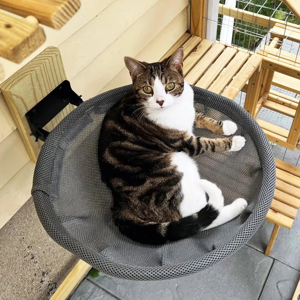 Panier mural chat forme de nid noir en hauteur