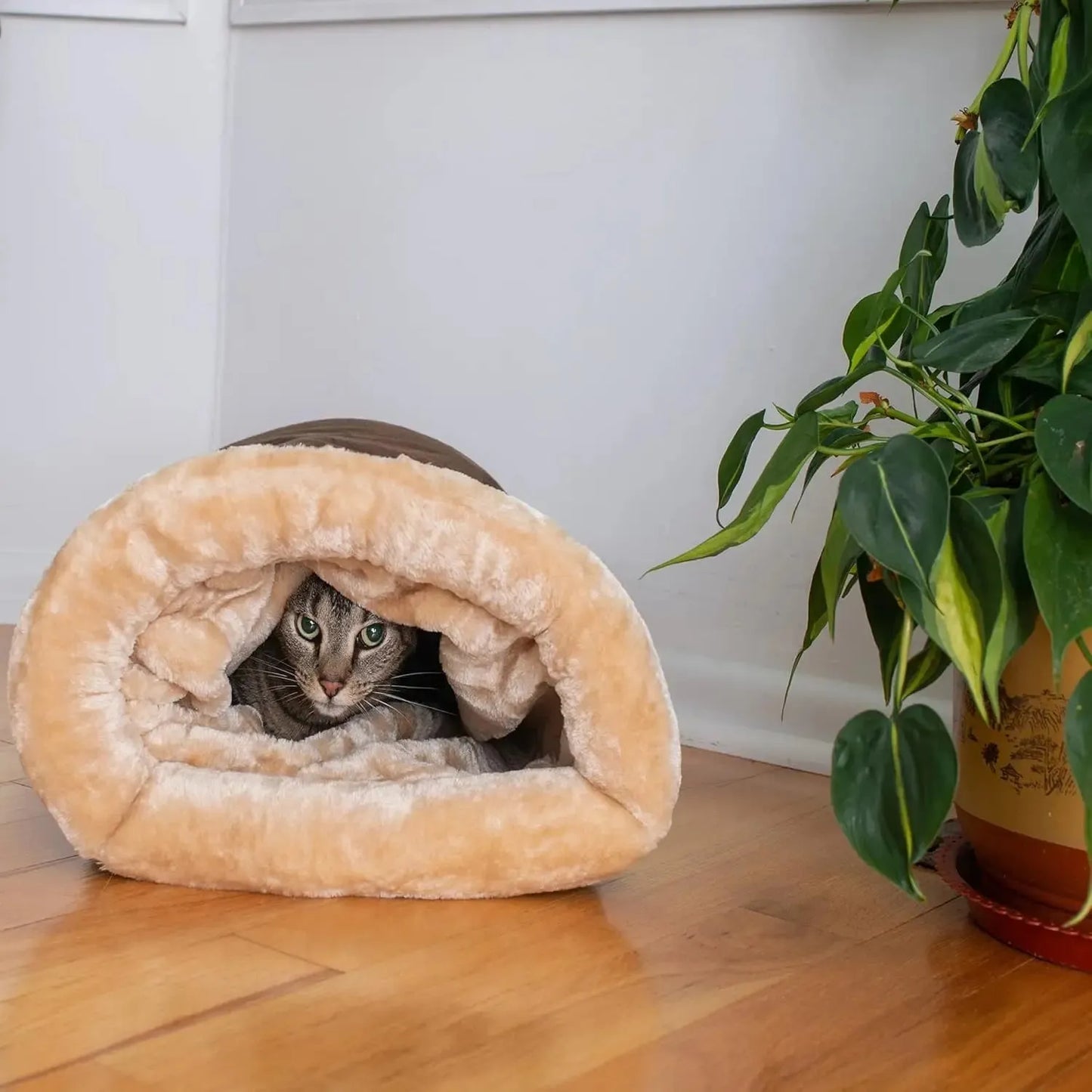 Tunnel pour chat marron dans une piece
