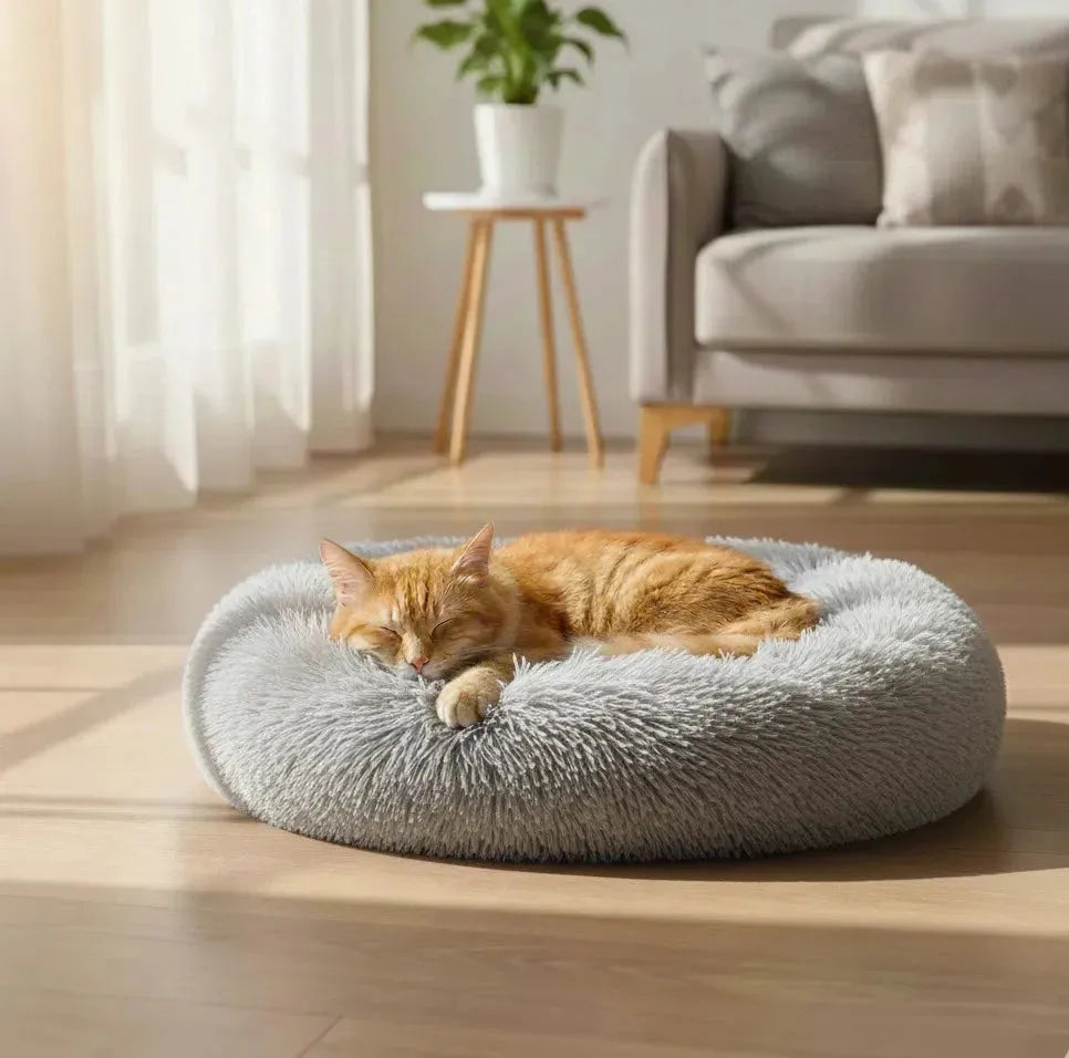 Coussin chat ovale Gris dans une piece avec un chat