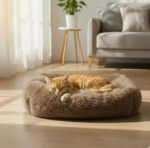 Coussin chat ovale marron dans une piece avec un chat