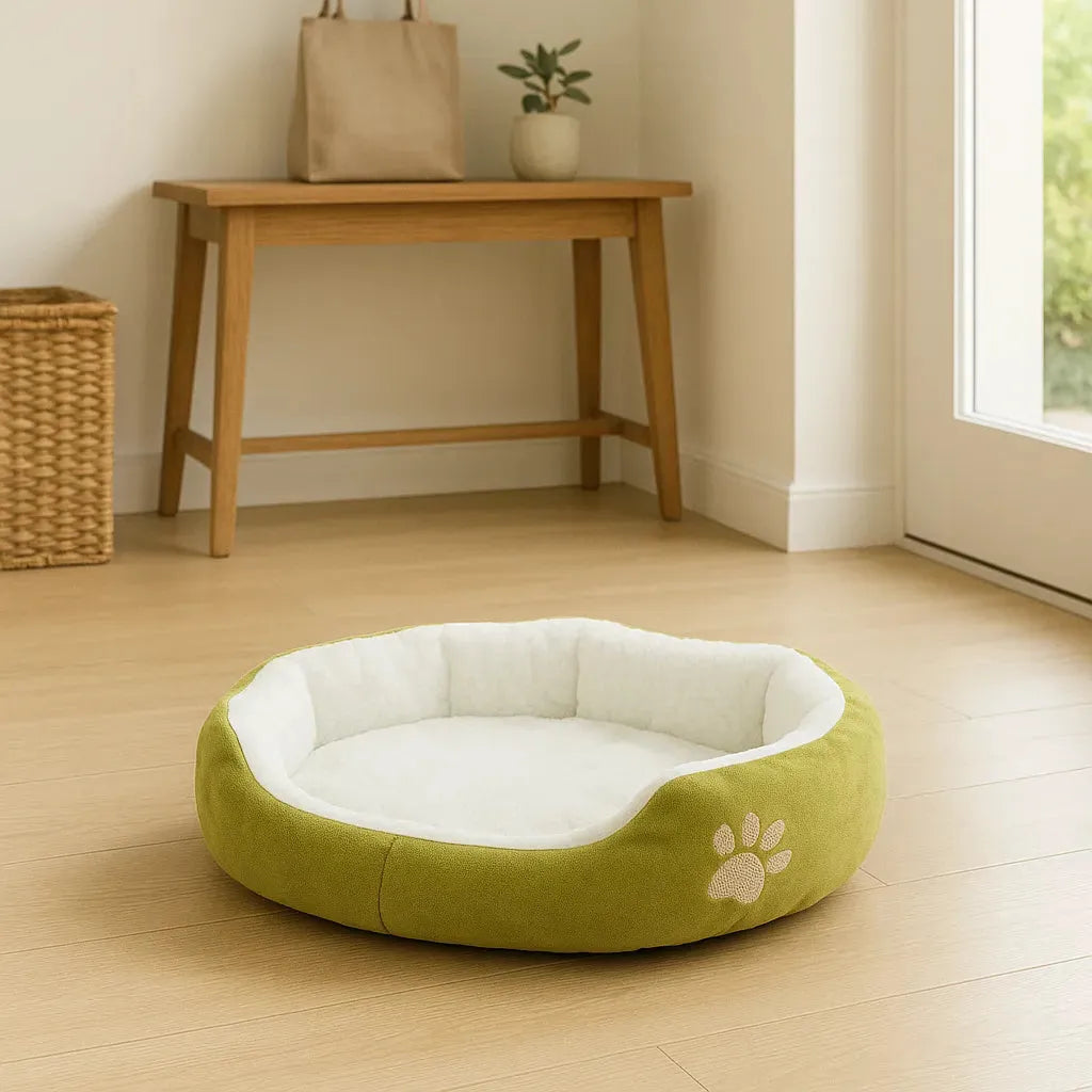 Coussin vert pour chat dans une chambre