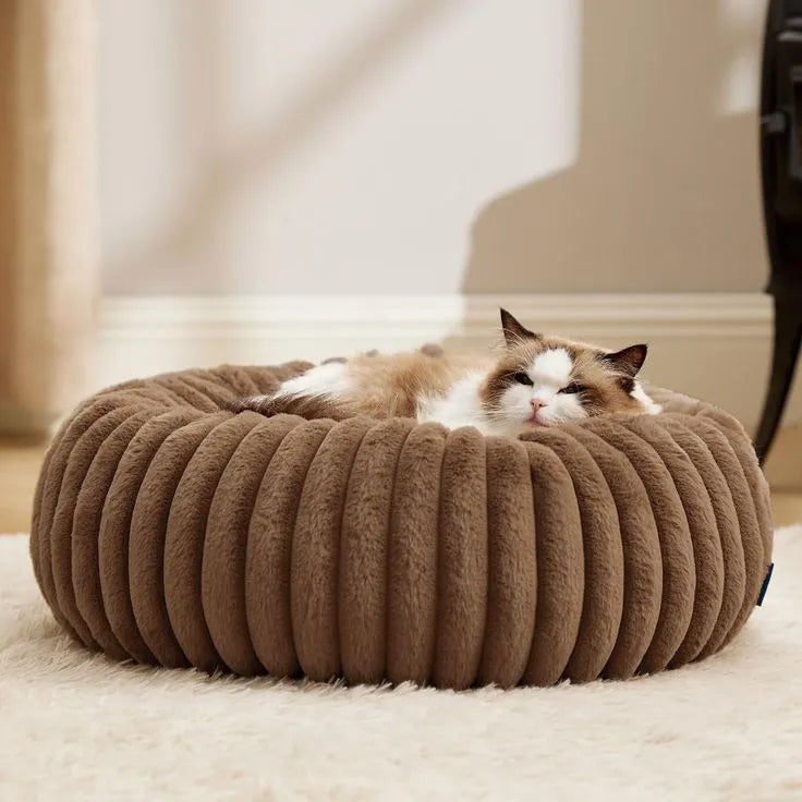 Un panier rond pour chat