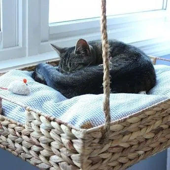Un panier suspendu pour chat