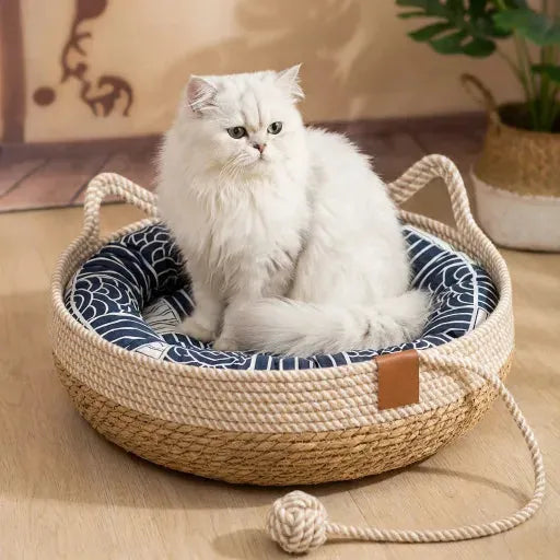 Chat blanc sur panier osier 