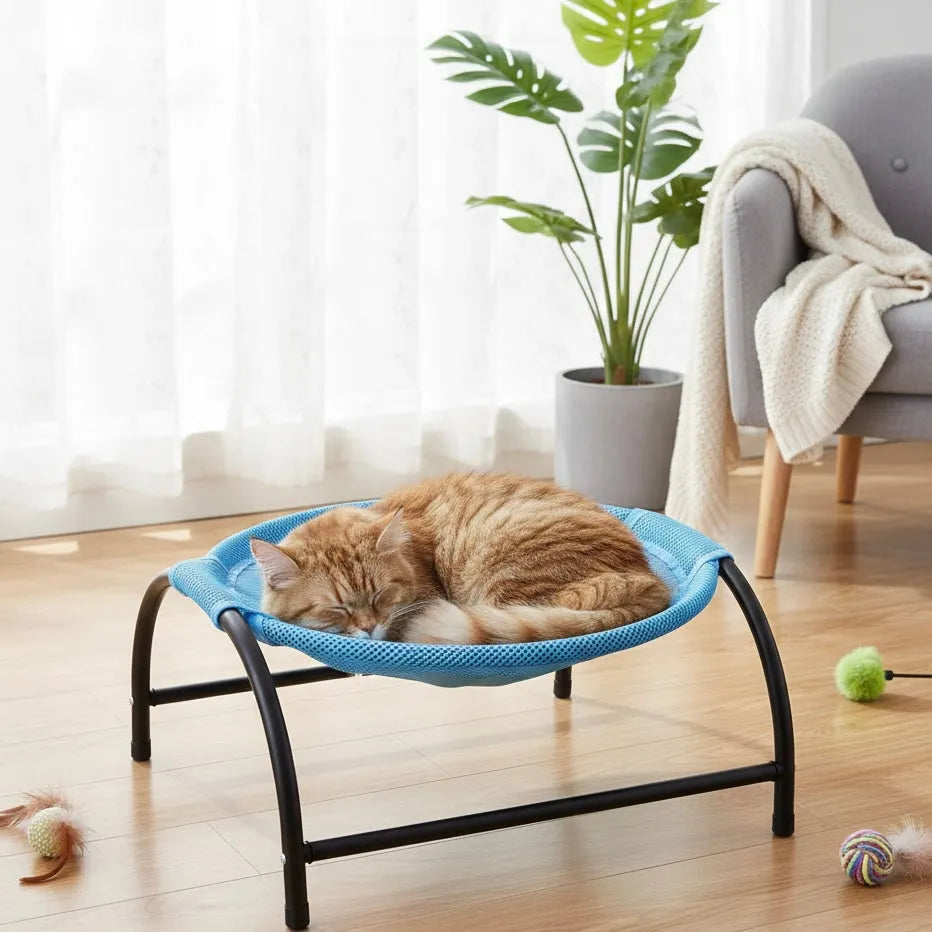 Chat dans panier hauteur hamac couleur bleu a l’intérieur