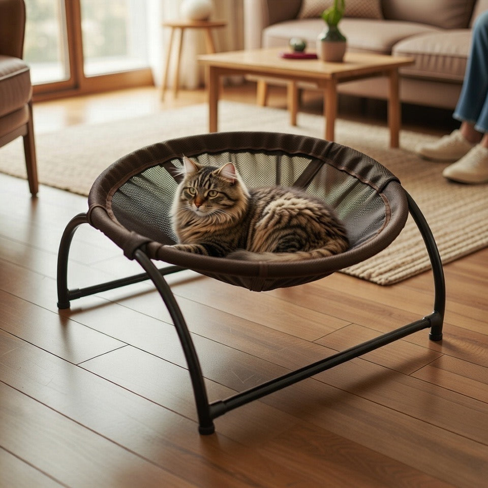 Chat dans panier en hauteur hamac a l’intérieur 