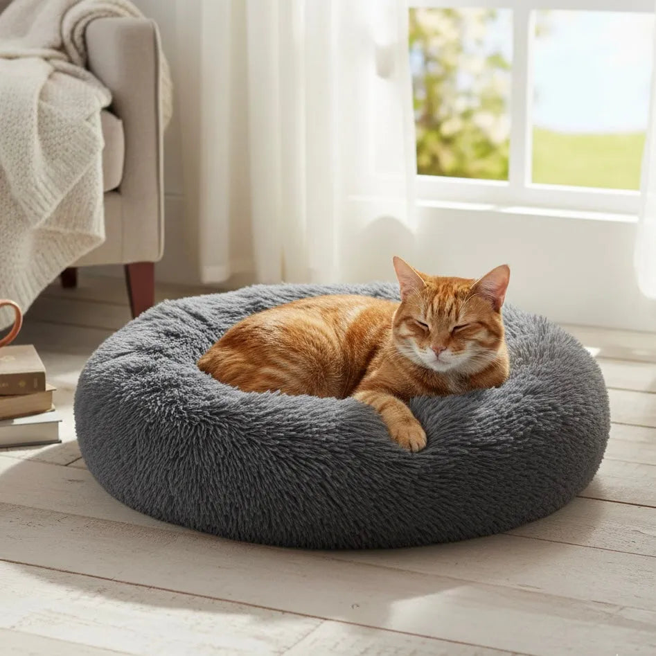 Chat dans panier rond gris foncé