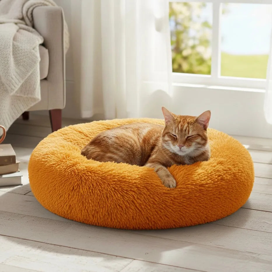 Chat dans panier rond jaune foncé