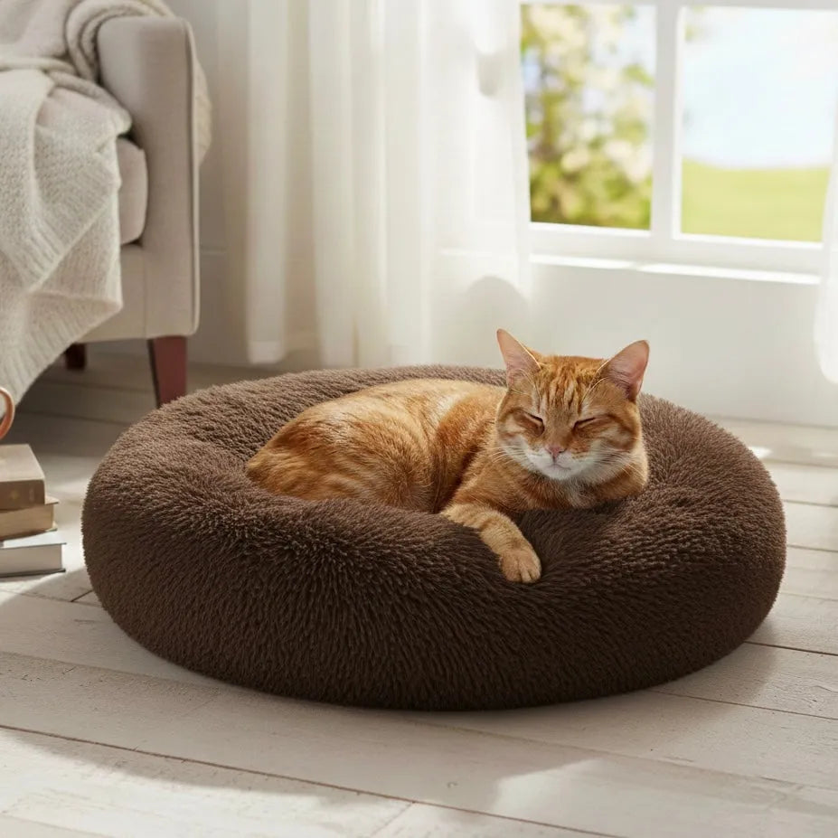 Chat dans panier rond marron