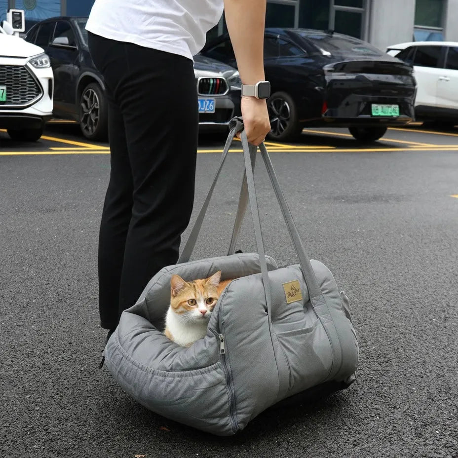 Chat dans panier transport en extérieur