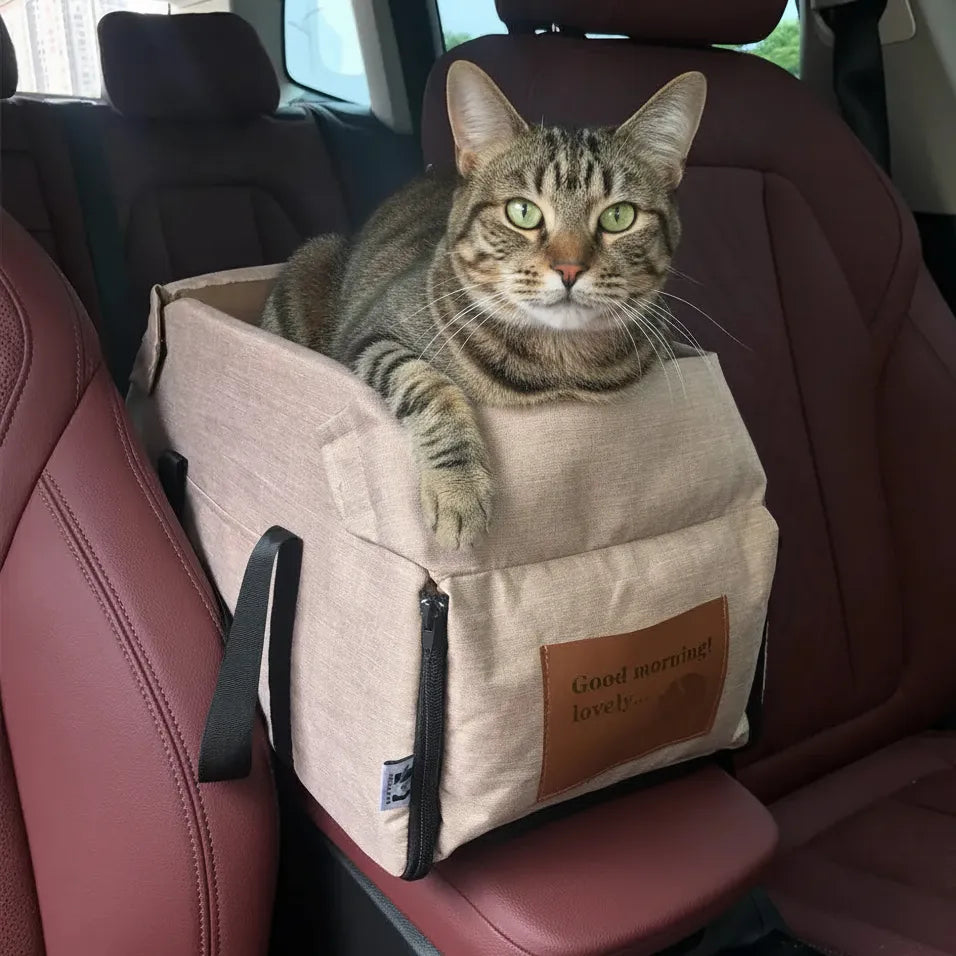 Chat dans voiture panier rose clair