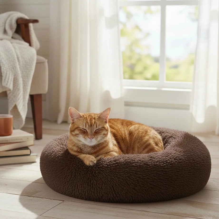 Chat qui dort sur un panier rond marron