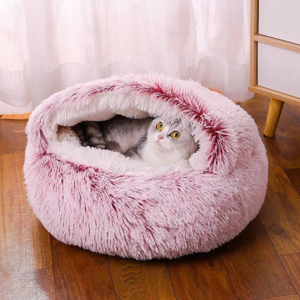 Chat enveloppé dans son coussin rose