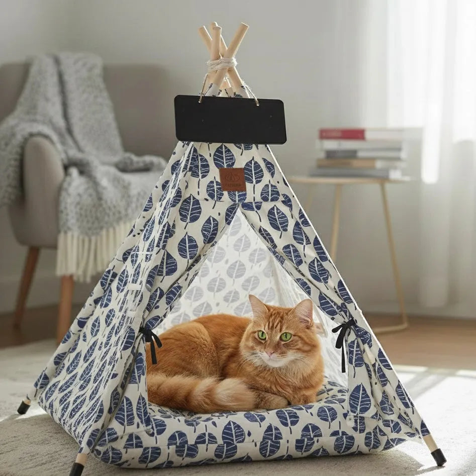 Chat dans grand tipi feuilles bleu en intérieur