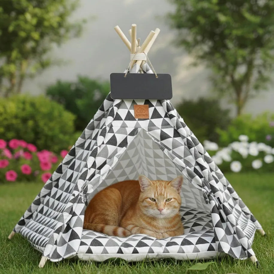 Chat dans grand tipi gris clair en extérieur