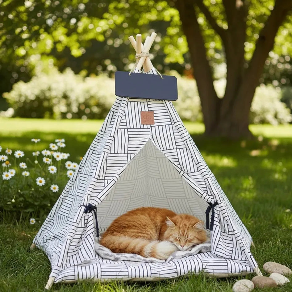 Chat dans grand tipi mosaïque en extérieur