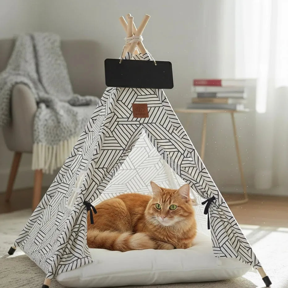 Chat dans grand tipi mosaïque en intérieur