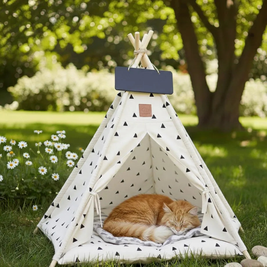 Chat dans grand tipi petits triangles en extérieur