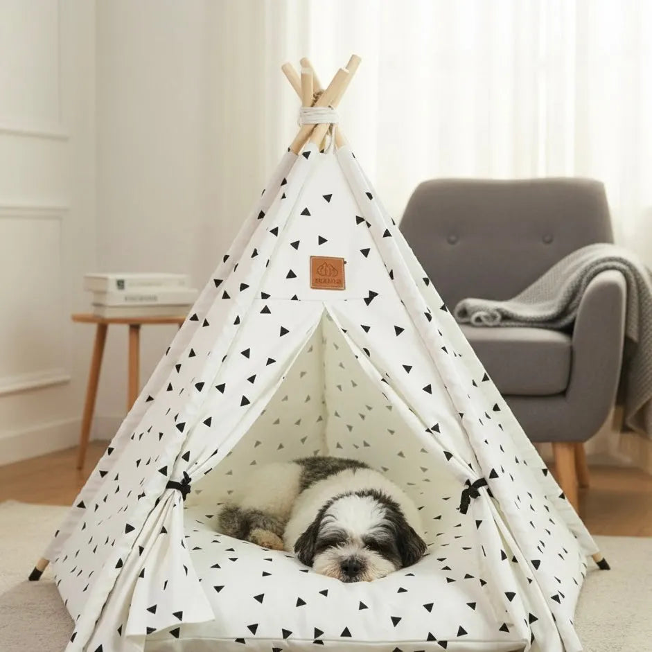 Chat dans grand tipi petits triangles en intérieur