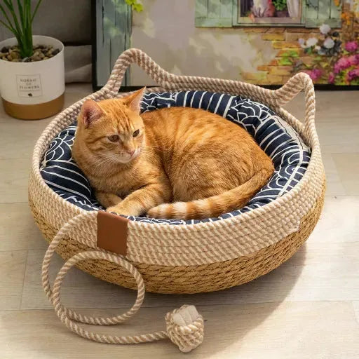 Chat marron sur panier osier