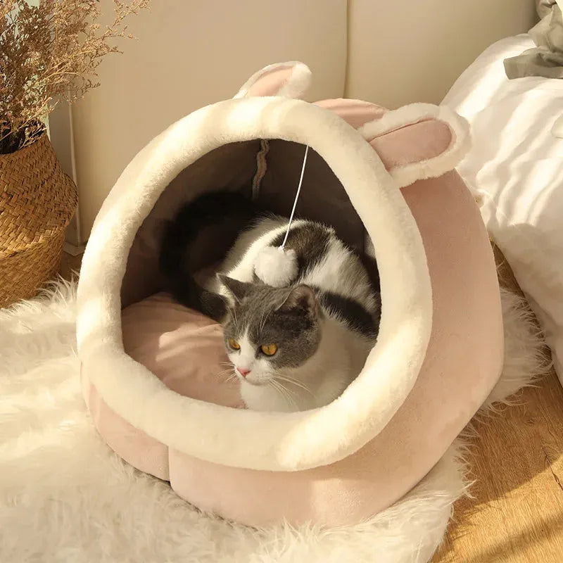 Chat dans salon dans panier fermé doux pour chat couleur rose