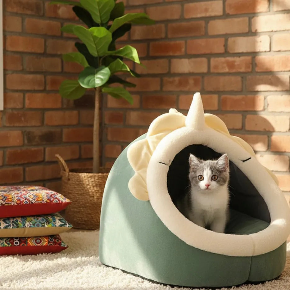 Chat dans panier fermé doux pour chat symétrique