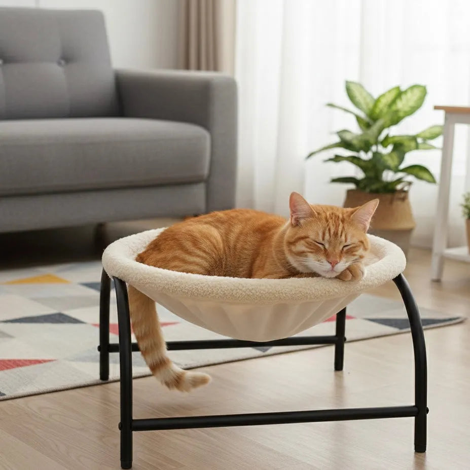 Chat dans panier hauteur hamac de couleur blanc cassé en intérieur