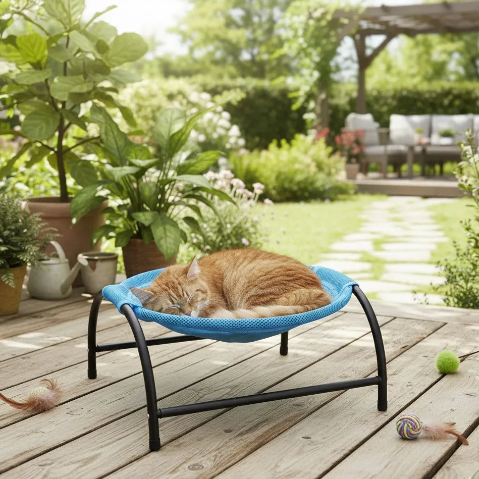Chat dans panier hauteur hamac couleur bleu a l’extérieur