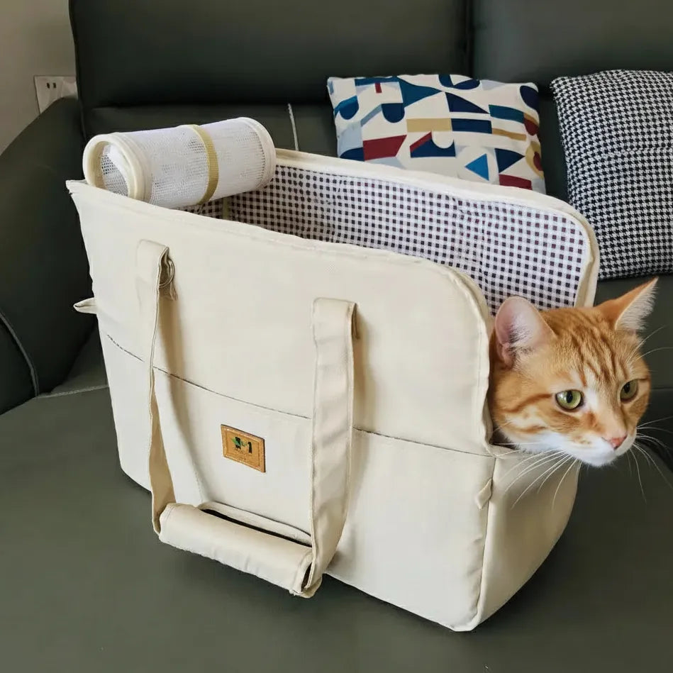 Chat dans panier voiture/extérieur de couleur beige