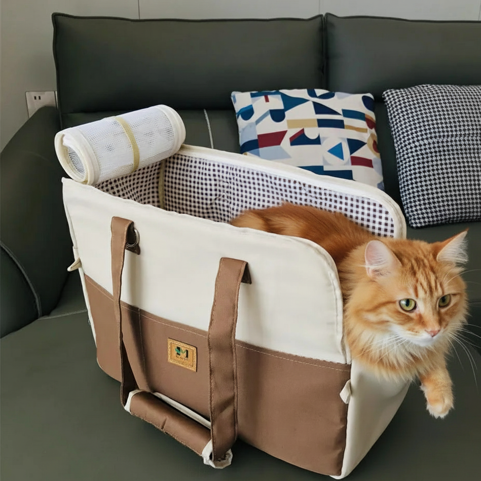 Chat dans panier voiture marron vu de coté