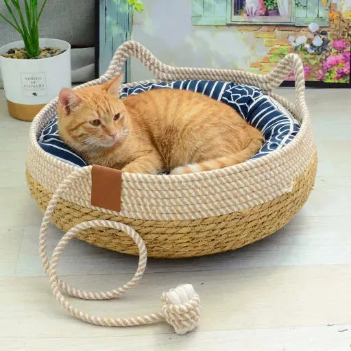 Chat qui regarde sur panier osier