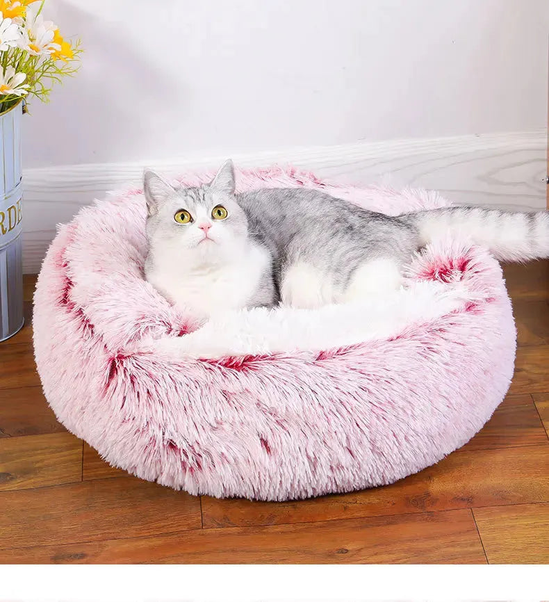 Chat sur un coussin fermé chauffant naturellement de couleur rose