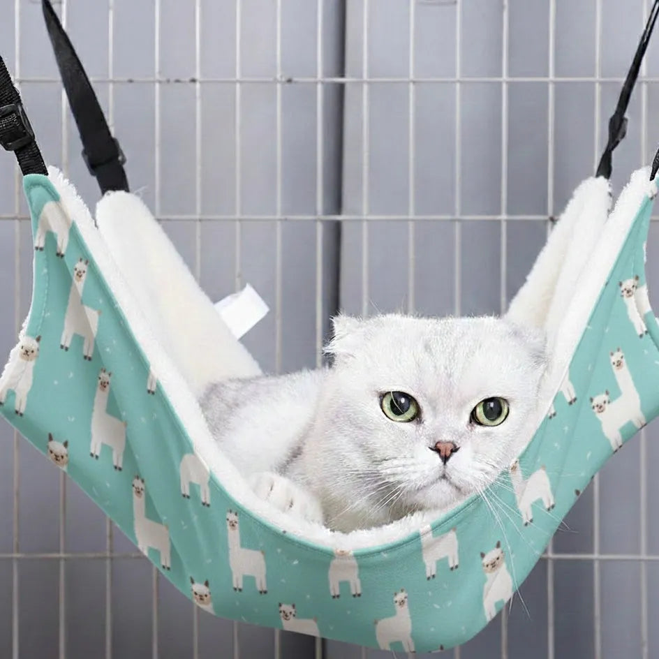 Chat sur panier hamac chat motif girafe