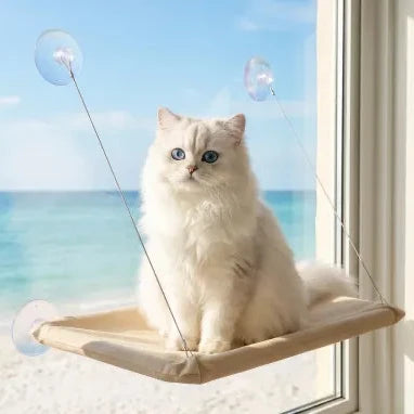 Chat sur panier mural ventouses blanc cassé